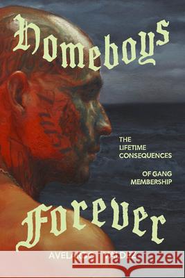 Homeboys Forever: The Lifetime Consequences of Gang Membership Avelardo Valdez 9780226848396 University of Chicago Press - książka