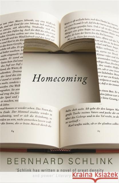 Homecoming Bernhard Schlink 9780753823286  - książka