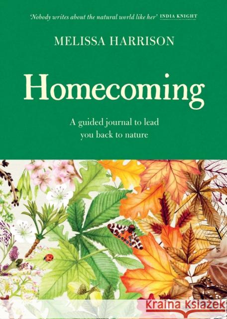 Homecoming: A Guided Journal to Lead You Back to Nature Melissa Harrison 9781399618779 Orion Publishing Co - książka