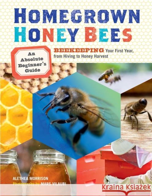 Homegrown Honey Bees: An Absolute Beginner's Guide to Beekeeping Your First Year, from Hiving to Honey Harvest Alethea Morrison 9781603429948  - książka