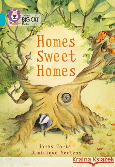 Homes Sweet Homes: Band 07/Turquoise James Carter 9780007591107 HarperCollins Publishers - książka