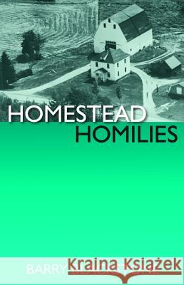 Homestead Homilies Barry Blackstone 9781532614804 Resource Publications (CA) - książka