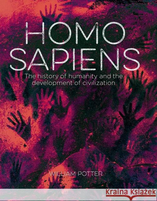 Homo Sapiens: The History of Humanity and the Development of Civilization William (Author) Potter 9781788280914 Arcturus Publishing Ltd - książka