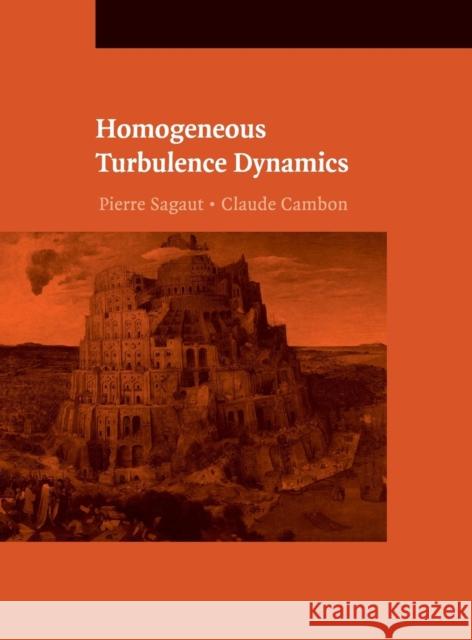 Homogeneous Turbulence Dynamics Pierre Sagaut Claude Cambon 9780521855488 Cambridge University Press - książka