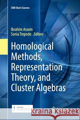 Homological Methods, Representation Theory, and Cluster Algebras Ibrahim Assem Sonia Trepode 9783030090296 Springer - książka