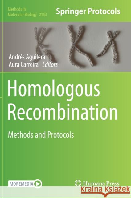 Homologous Recombination: Methods and Protocols Aguilera, Andrés 9781071606438 Humana - książka