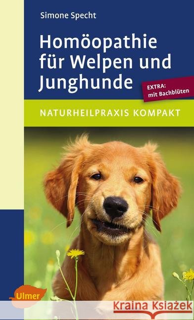 Homöopathie für Welpen und Junghunde : Extra: mit Bachblüten Specht, Simone 9783800178902 Ulmer (Eugen) - książka