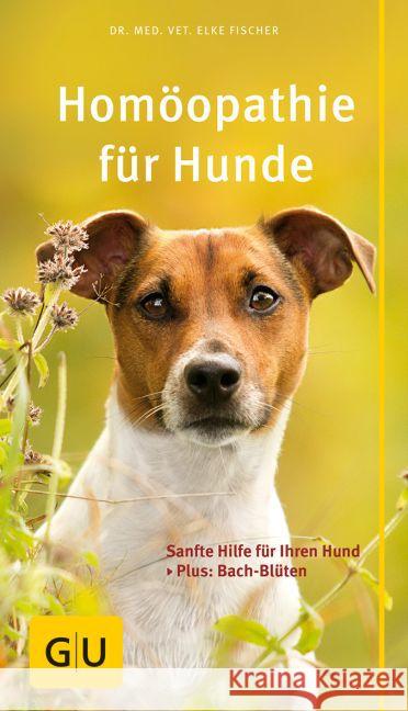 Homöopathie für Hunde : Sanfte Hilfe für Ihren Hund. Plus: Bach-Blüten Fischer, Elke 9783833852169 Gräfe & Unzer - książka