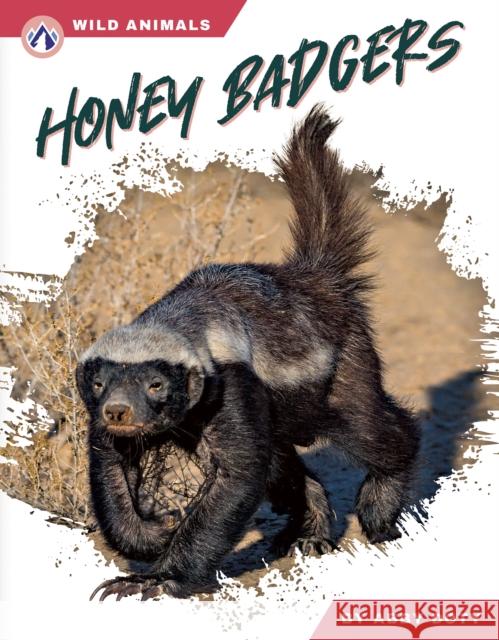 Honey Badgers Dalton Rains 9798892505840 Apex - książka