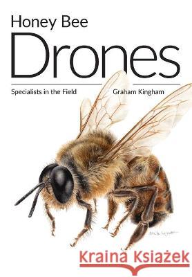 Honey Bee Drones: Specialists in the Field Graham Kingham Simon Paterson 9781912271528 Northern Bee Books - książka