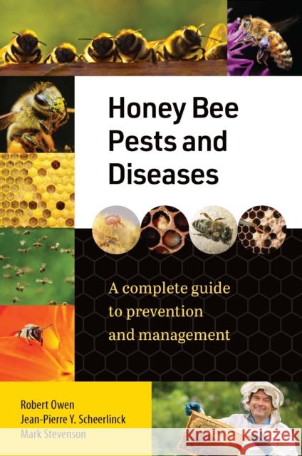 Honey Bee Pests and Diseases: A complete guide to prevention and management Robert Owen 9781922539601 Exisle Publishing - książka