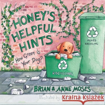 Honey's Helpful Hints Moses, Brian, Moses, Anne, Lewis, Claire F. 9781068642791 Hb Publishing House - książka