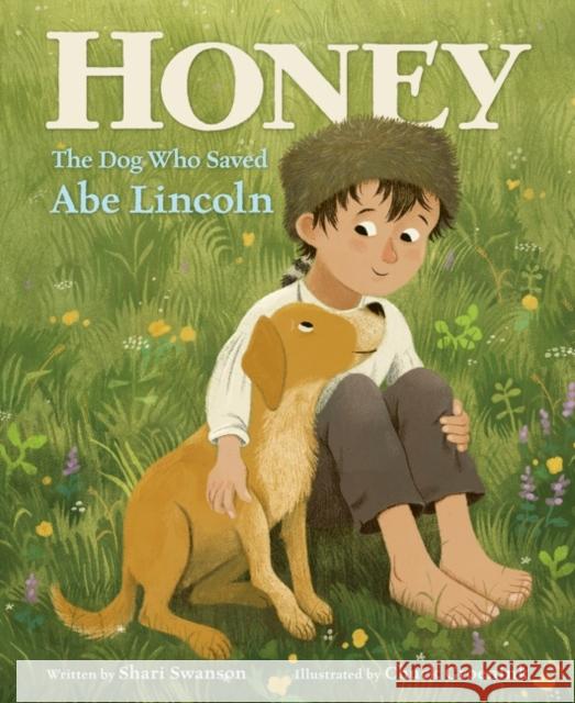 Honey, the Dog Who Saved Abe Lincoln Shari Swanson Chuck Groenink 9780062699015 Katherine Tegen Books - książka