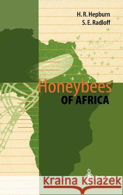Honeybees of Africa H. R. Hepburn S. E. Radloff 9783540642213 Springer - książka