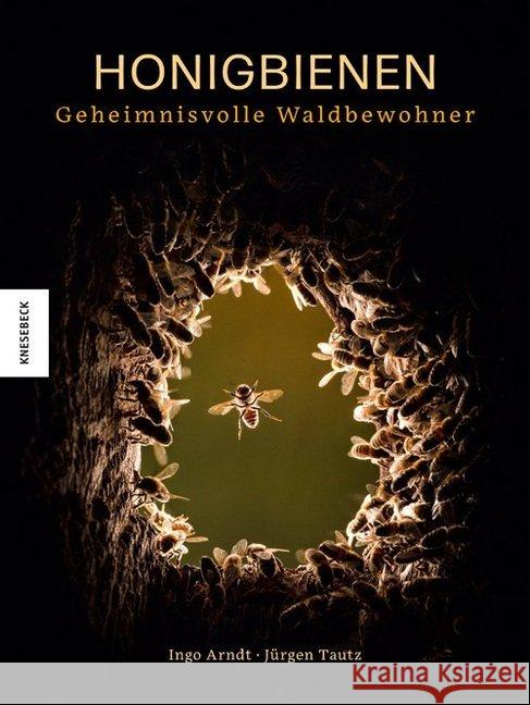 Honigbienen - geheimnisvolle Waldbewohner Arndt, Ingo; Tautz, Jürgen 9783957283627 Knesebeck - książka