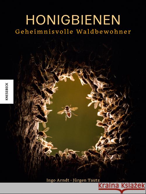 Honigbienen - Geheimnisvolle Waldbewohner Tautz, Jürgen, Arndt, Ingo 9783957289957 Knesebeck - książka