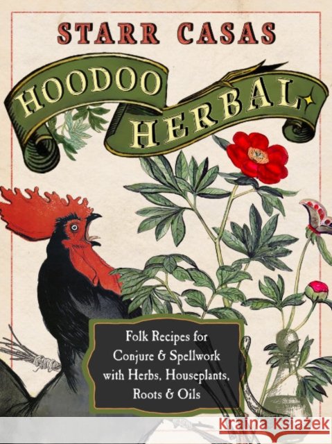 Hoodoo Herbal: Folk Recipes for Conjure & Spellwork with Herbs, Houseplants, Roots, & Oils Starr Casas 9781578637850 Red Wheel/Weiser - książka