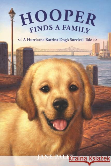 Hooper Finds a Family: A Hurricane Katrina Dog's Survival Tale Jane Paley 9780062011053 HarperCollins - książka