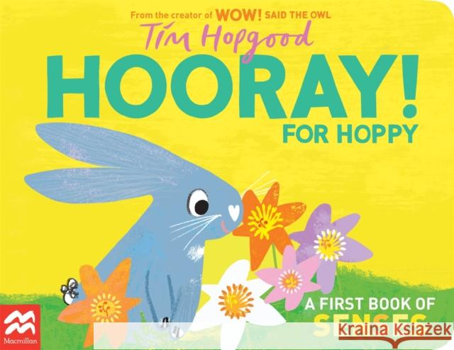 Hooray for Hoppy: A First Book of Senses Hopgood, Tim 9781529098976 Pan Macmillan - książka