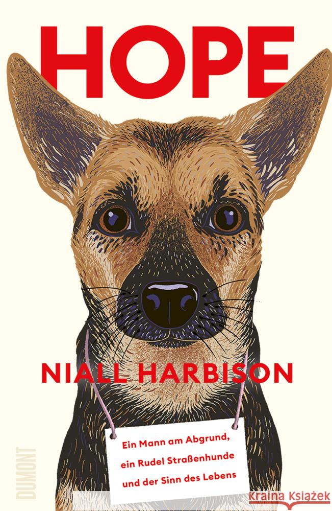 Hope Harbison, Niall 9783755800293 DuMont Buchverlag - książka
