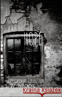 Hope: Hound of the Baskervilles L. W. Brook 9781720919421 Createspace Independent Publishing Platform - książka