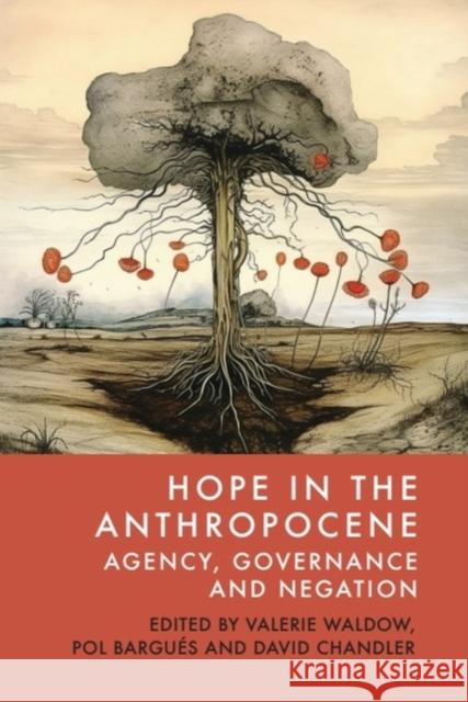 Hope in the Anthropocene: Agency, Governance and Negation Valerie Waldow Pol Bargu?s David Chandler 9781399529860 Edinburgh University Press - książka