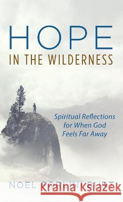 Hope in the Wilderness Noel Forlin Jerry Sittser 9781532689352 Cascade Books - książka