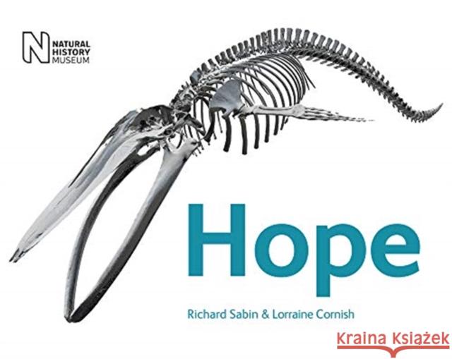 Hope: The story of the blue whale Lorraine Cornish 9780565094775 The Natural History Museum - książka