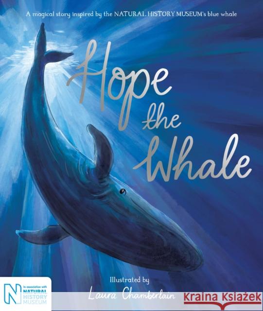 Hope the Whale: In Association with the Natural History Museum Laura Chamberlain 9781529059250 Pan Macmillan - książka