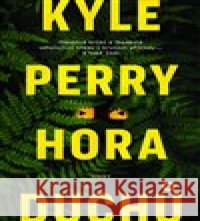 Hora duchů Kyle Perry 9788027508327 Host - książka