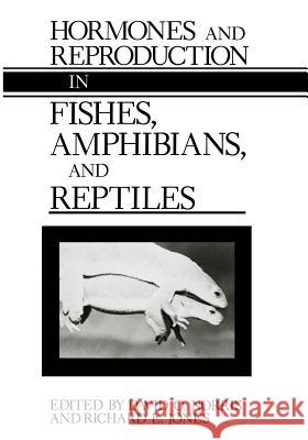 Hormones and Reproduction in Fishes, Amphibians, and Reptiles David O Richard E David O. Norris 9781461290421 Springer - książka