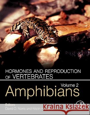 Hormones and Reproduction of Vertebrates, Volume 2: Amphibians Norris, David O. 9780123749314  - książka