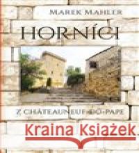 Horníci Marek Mahler 9788074284267 Plot - książka