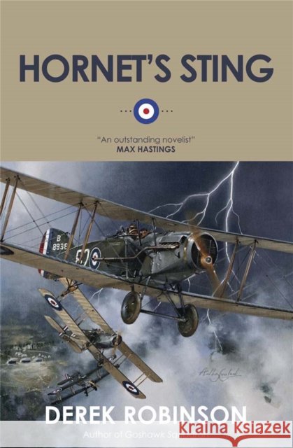 Hornet's Sting Derek Robinson 9780857052254 Quercus Publishing - książka