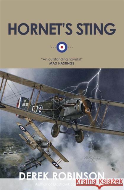 Hornet's Sting Derek Robinson 9780857052254 Quercus Publishing - książka