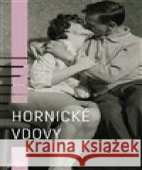 Hornické vdovy Kamila Hladká 9788090655935 Dcera sestry - książka