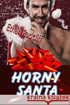 Horny Santa Ethan Radcliff 9781541117716 Createspace Independent Publishing Platform - książka