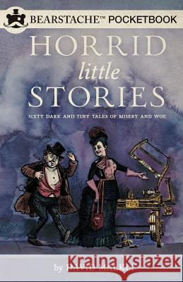 Horrid Little Stories: Sixty Dark and Tiny Tales of Misery and Woe David Malki 9781939768049 Bearstache Books - książka