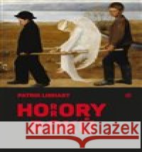 Horrory roků Patrik Linhart 9788087688434  - książka