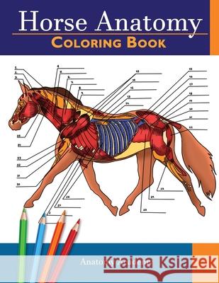 Horse Anatomy Anatomy Academy 9781914207068 Muze Publishing - książka