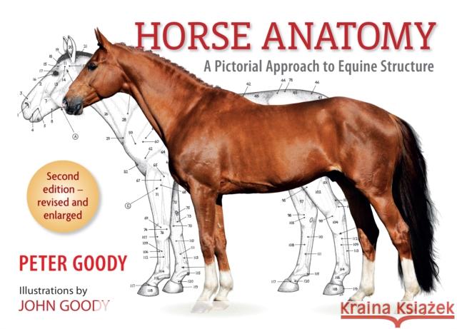 Horse Anatomy: A Pictorial Approach to Equine Structure Peter C. Goody 9780851317694 ROBERT HALE LTD - książka