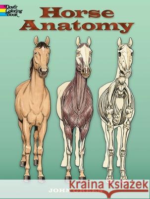 Horse Anatomy Coloring Book John Green 9780486448138 Dover Publications Inc. - książka