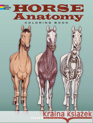 Horse Anatomy Coloring Book John Green 9780486448138 Dover Publications Inc. - książka