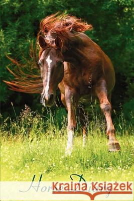 Horse Diary Lydia Nevzorova 9781468114478 Createspace - książka