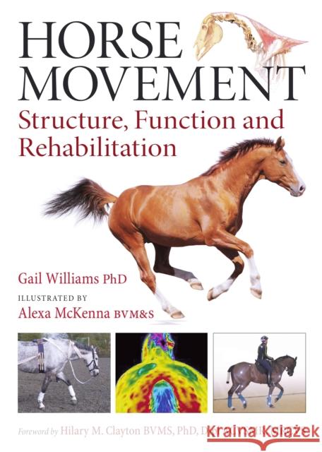 Horse Movement: Structure, Function and Rehabilitation Gail Williams 9781908809117 Ja Allen - książka