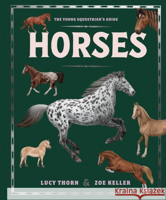 Horses Lucy Thorn 9781444981247 Hachette Children's Group - książka