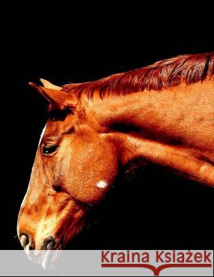 Horses Wild Pages Press 9781547082087 Createspace Independent Publishing Platform - książka