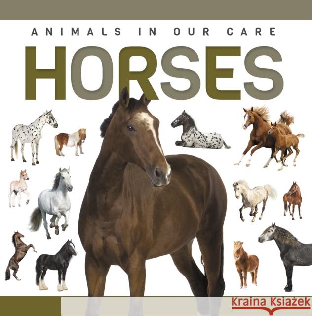 Horses Alex Hall 9781952455377 North Star Kids - książka