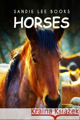 Horses - Sandie Lee Books Sandie Lee Books 9781495209741 Createspace - książka