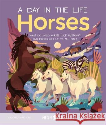 Horses (A Day in the Life): What Do Wild Horses Like Mustangs and Ponies Get Up To All Day? Neon Squid 9781838992309 Priddy Books - książka